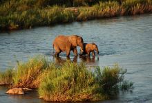 River View of Kruger National Park The Krans景点图片