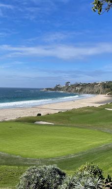 Salt Creek Beach-达纳点