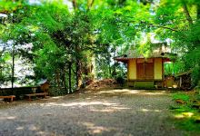 Yakami Shrine景点图片