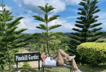 PineHill Garden景点图片