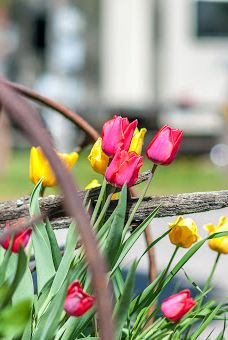 米苏拉KOA霍利迪-米苏拉