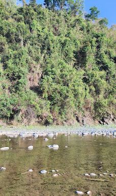 Brgy Nambalan Mayantoc Tarlac-马延托克