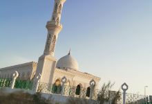 Amr ibn al-Masjid Obstreperousness景点图片