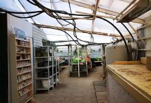 Ekenäs Trädgård AB购物图片
