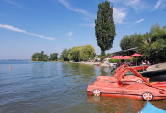 Strabos Kräutergarten购物图片