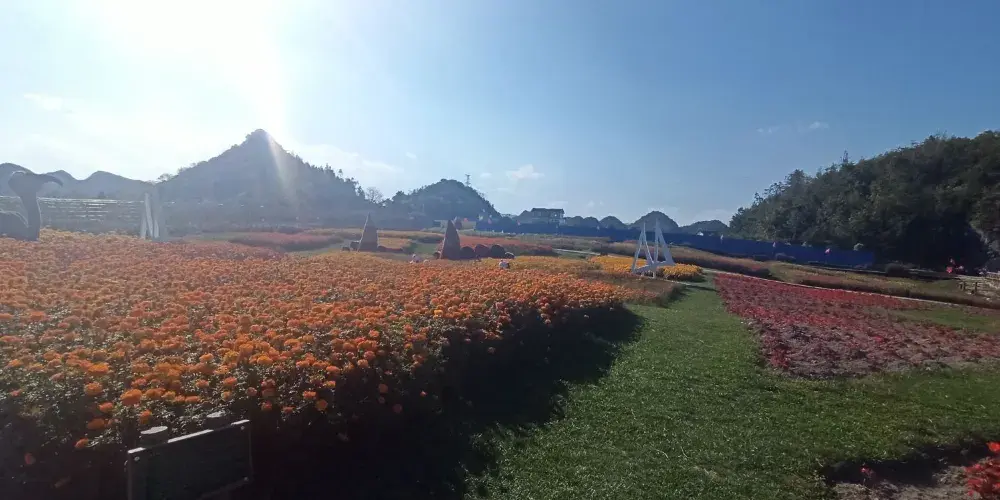 永安旅遊