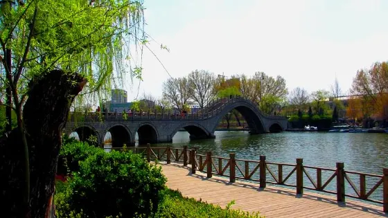 仙湖公園