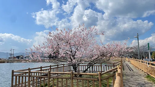 弁天池公園