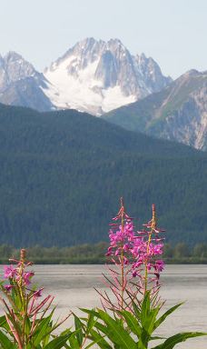 奇尔卡特河-海恩斯自治市镇