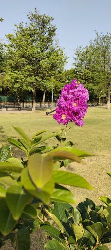 Hill View Park-伊斯兰堡