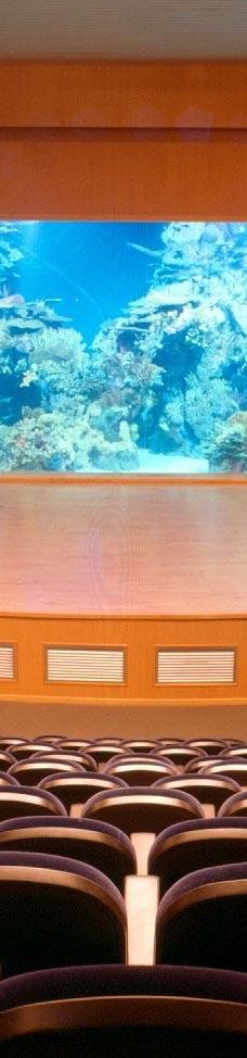 瓦伦西亚海洋公园-瓦伦西亚