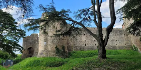 Caldicot Castle