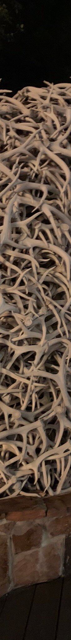 杰克逊鹿角公园-杰克逊