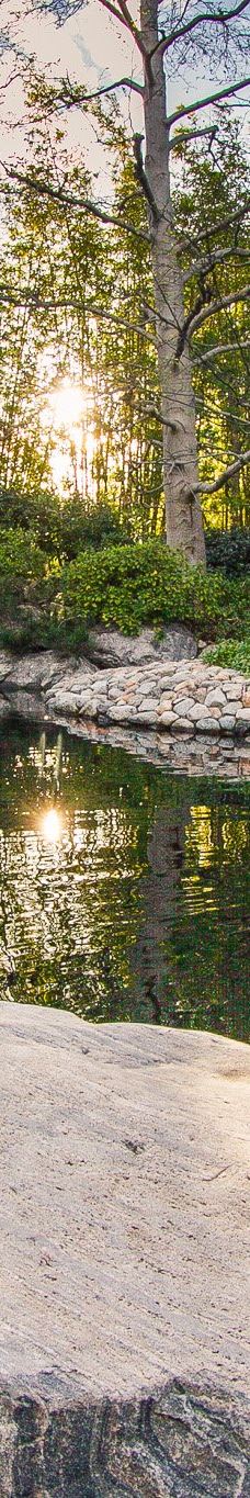 Japanese Friendship Garden & Museum-圣地亚哥