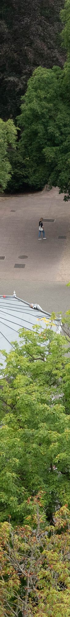 佛罗里达公园-维托里亚