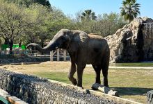 Parque Zoologico La Pastora景点图片