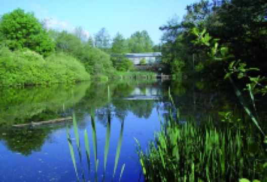 Trafford Ecology Park景点图片