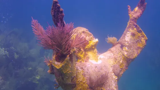 Christ of the Deep