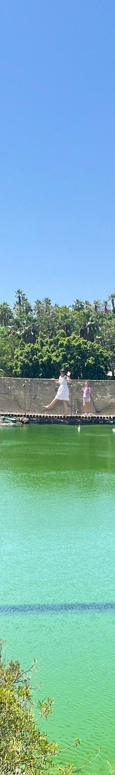 Selwo Aventura-埃斯特波纳