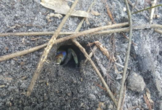 Secret Woods Nature Center景点图片