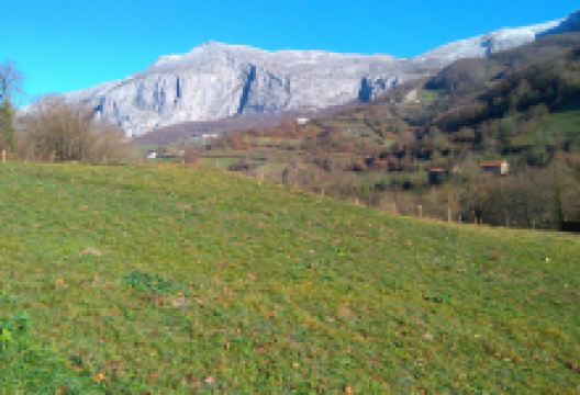 Parque de la Prehistoria景点图片
