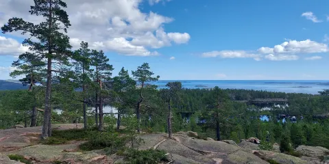 斯屈勒森林國家公園