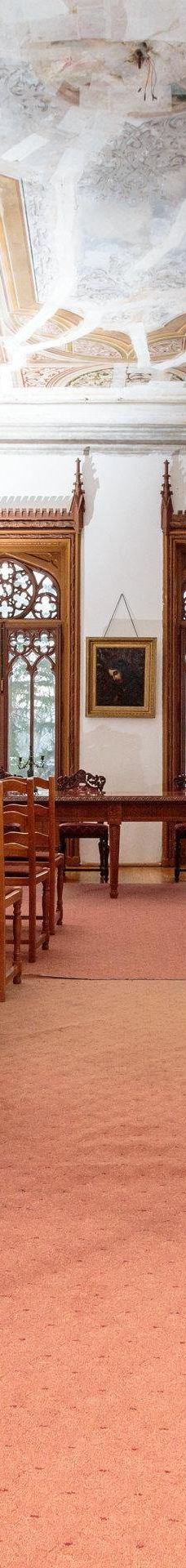 Sturdza Palace-Alexandru I. Cuza