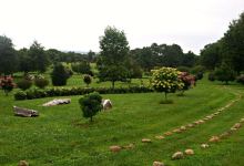 Harvey's Garden景点图片