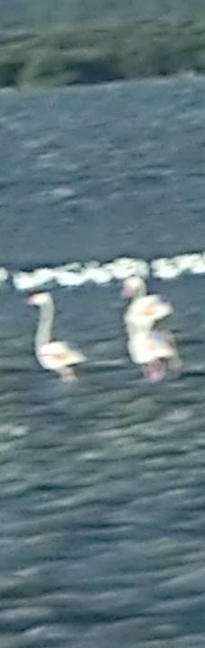 Domaine de la Palissade-阿尔勒