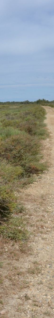 Domaine de la Palissade-阿尔勒