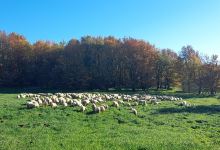 Necropoli Rupestri di San Giovenale e Terrone景点图片