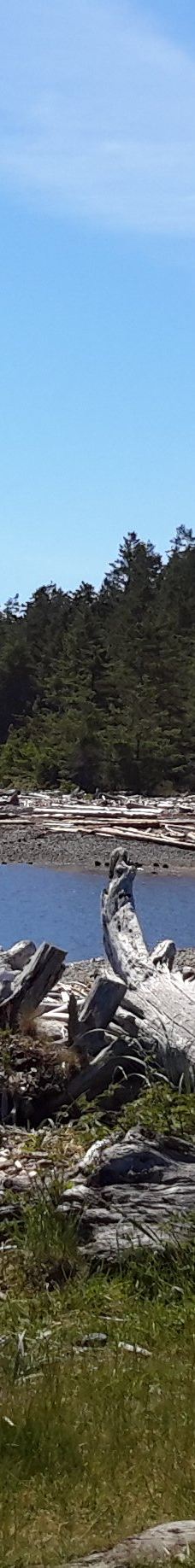 Rebecca Spit Marine Provincial Park-奎德拉岛