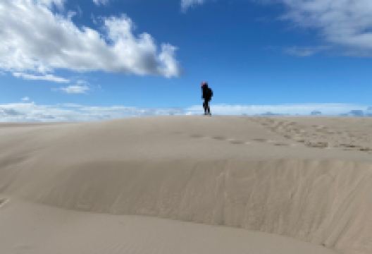 Råbjerg Mile景点图片