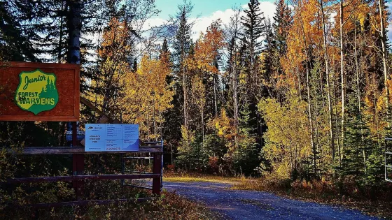 Athabasca Riverfront Park