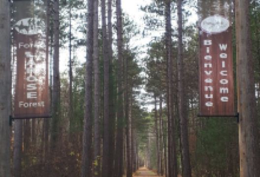 Larose Forest景点图片