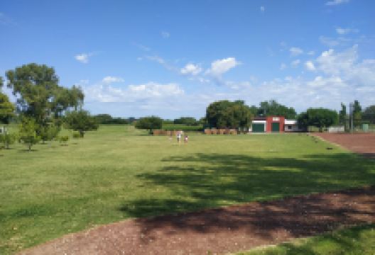 Bodega Campo Tinto景点图片