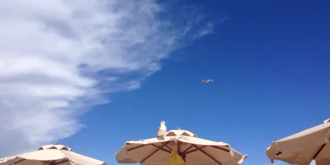 Stabilimento Balneare Miramare