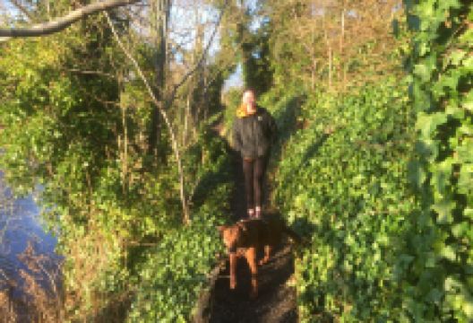 Balgavies Loch景点图片