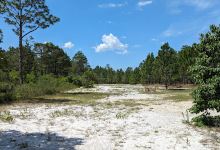 Cougar Country Disc Golf Course景点图片