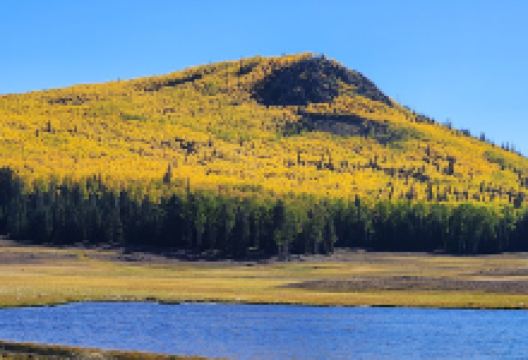 Manning Meadow CUA Dispersed景点图片