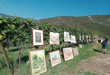 Tenuta Pozzetto景点图片