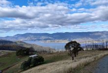 Yesteryear Plantations Eucalyptus Oil Distillers景点图片
