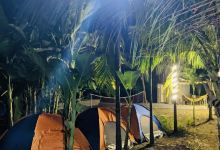 Camp escape景点图片