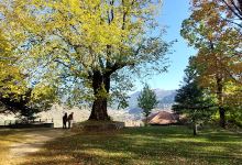 Agios Georgios Metsovo景点图片