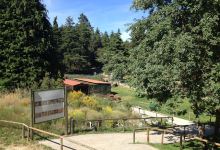 Biospots do Parque Biológico de Vinhais- Charca da Vidoeira景点图片