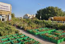 Al Bader Agricultural购物图片
