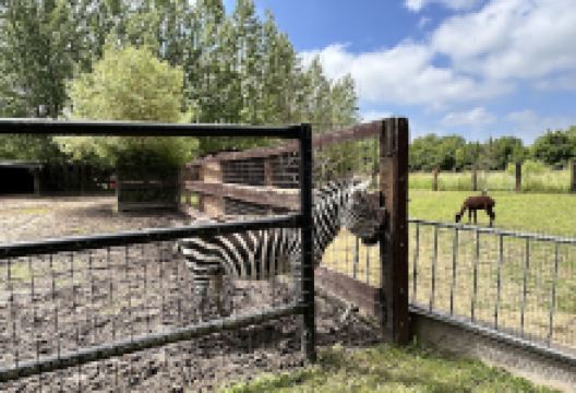 Private Zoo Sedlec景点图片