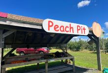 Irish Bend Orchard景点图片