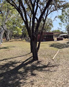 Violet Valley Campground-奥德里弗