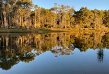Lake Binny corner camp ground景点图片